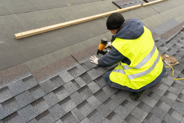 Best Roof Repair Services  in Belcourt, ND