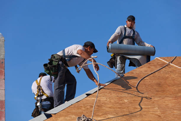 Best Best Roofing Contractors  in Belcourt, ND
