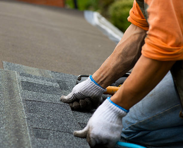 Best Roof Leak Repair  in Belcourt, ND