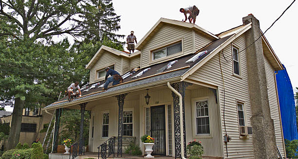 Best Best Roofing Contractors  in Belcourt, ND