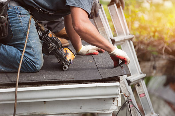 Best Flat Roof Repair Services  in Belcourt, ND