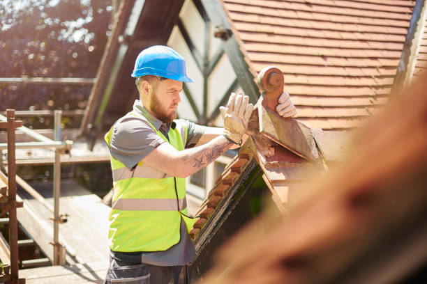 Best Emergency Roof Repair  in Belcourt, ND