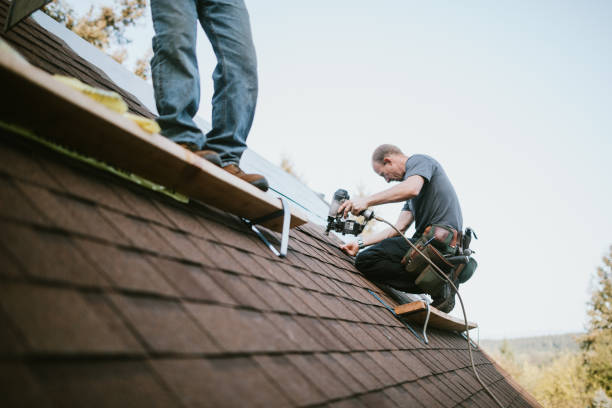 Professional Roofing Contractor in Belcourt, ND